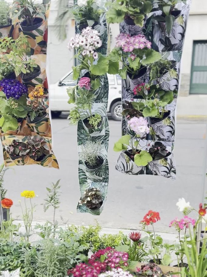 Jardín vertical cargado de flores de temporada violetas, rosas, blancas y amarillas, con follaje verde