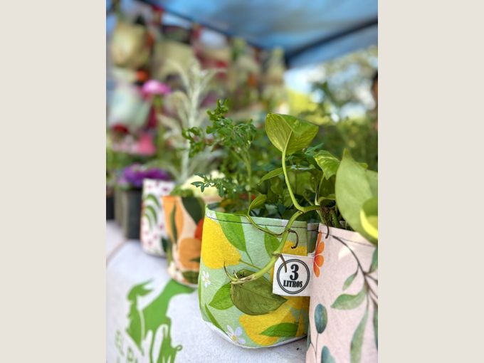 Macetas sublimadas con estampas de frutas y de hojas, con plantas, sobre el mostrador del puesto