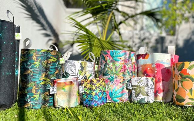 Varias macetas sublimadas de distintas estampas sobre el césped