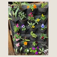Ver: Jardín vertical gris lleno de flores de colores