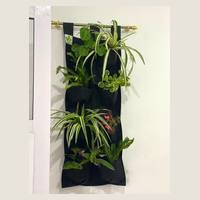 Ver: Jardín vertical oscuro con plantas colgantes en una pared interior