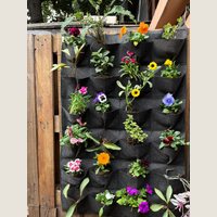 Ver: Jardín vertical gris con flores, colgado en una valla de madera