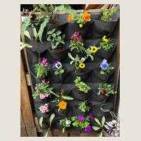 Ver: Jardín vertical gris con plantas, colgado en un vivero