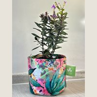 Ver: Maceta sublimada de colores con una planta en flor