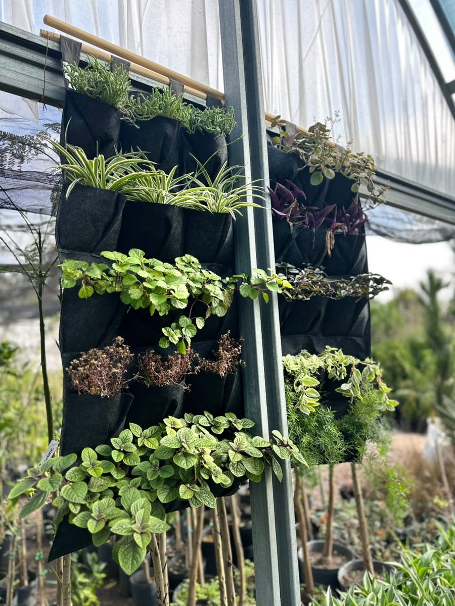 Dos jardines verticales instalados en la estructura de un invernadero