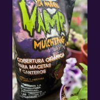 Ver: Bolsa de Vamp Mulching entre macetas con flores