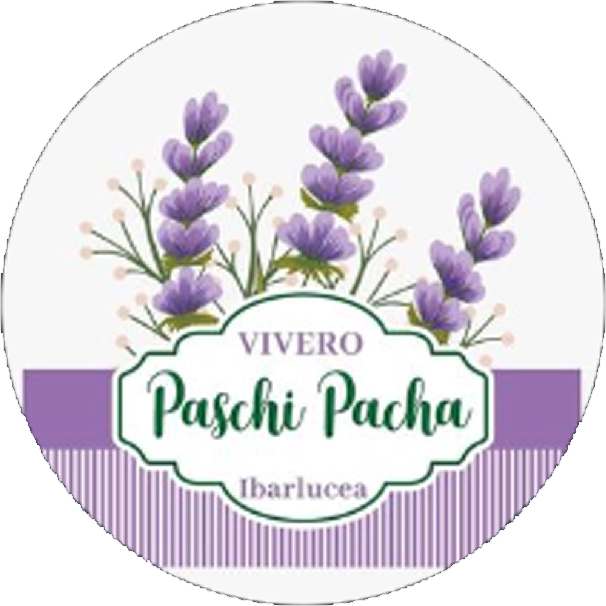 Vivero Paschi Pacha